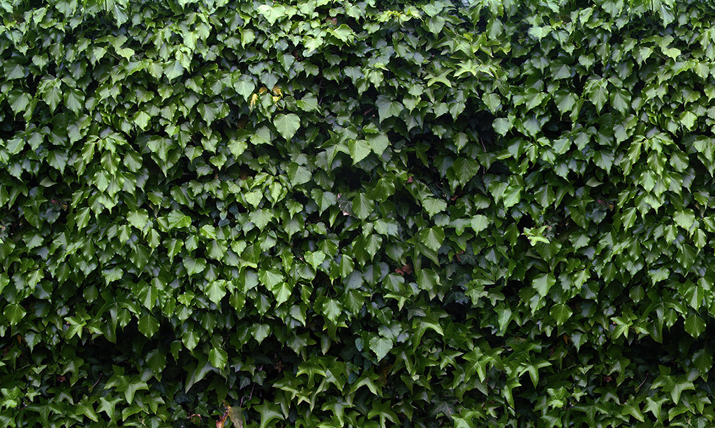 Texture 2061 Dark