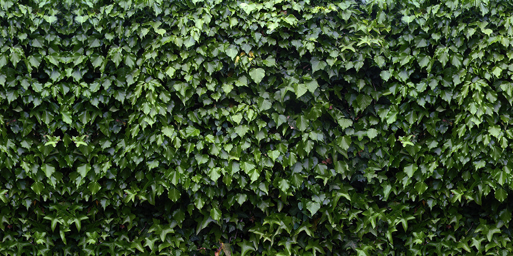 Texture 2061 Dark