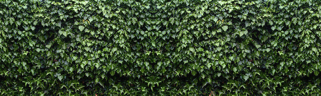 Texture 2061 Dark