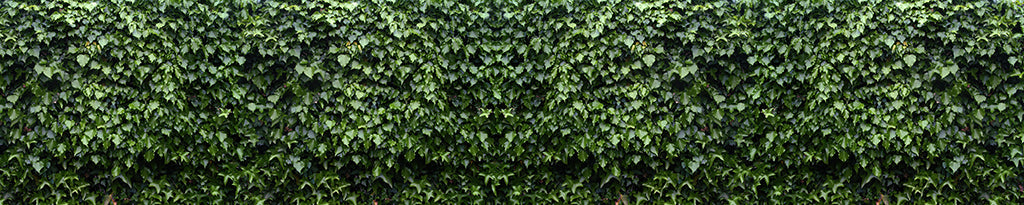 Texture 2061 Dark