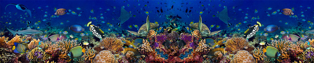 Undersea 1843