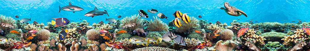 Undersea 6746