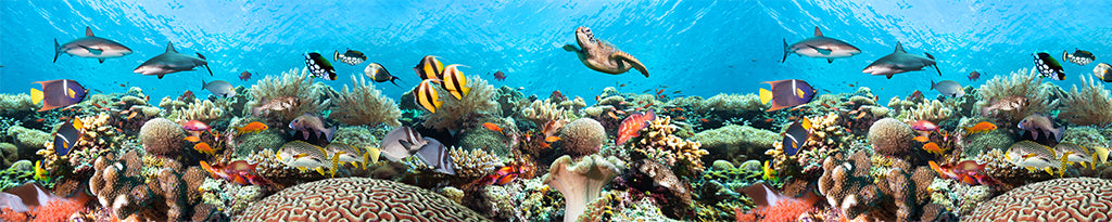 Undersea 6746