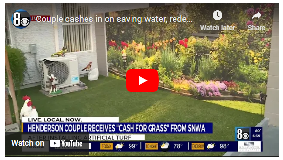 Wall Sensations Mural Shown in a News Broadcast