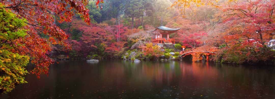 Daigo-ji Temple mural with autumn maples, perfect for indoor and outdoor spaces.
