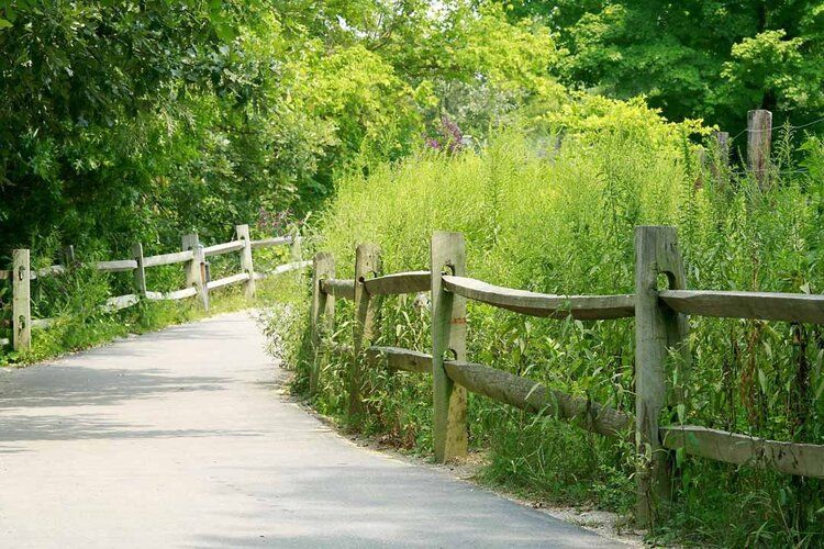 Woodland path with rustic fence mural, perfect for indoor and outdoor spaces.