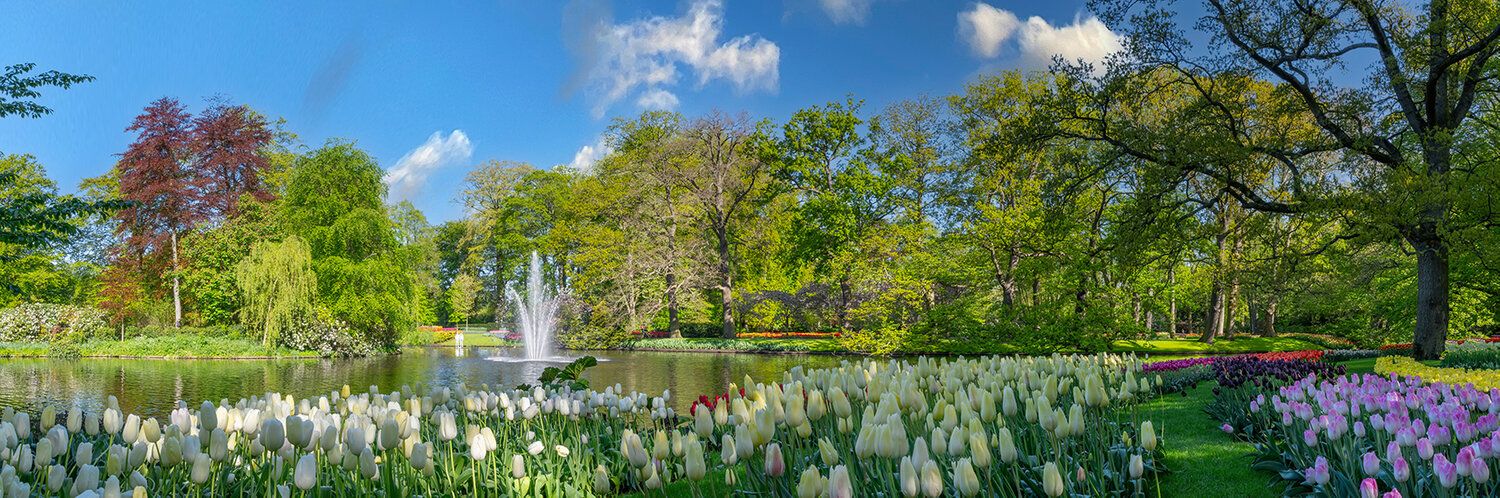Keukenhof mural with flower gardens and pond fountain, perfect for indoor and outdoor spaces.