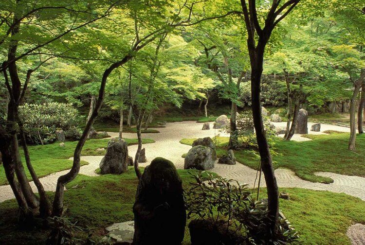 Zen garden mural with stones, raked sand, and greenery, perfect for indoor and outdoor tranquility.