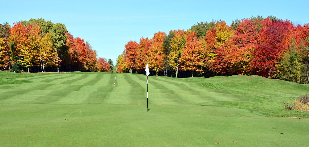 Royal Bromont Golf Club mural with autumn trees, perfect for indoor and outdoor spaces.