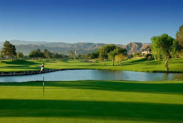 Palm Springs golf course mural with palms and fairways, ideal for indoor and outdoor spaces.