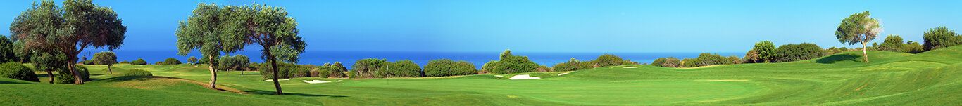 Panoramic mural of Cyprus golf course with sea and olive trees, ideal for indoor and outdoor spaces.
