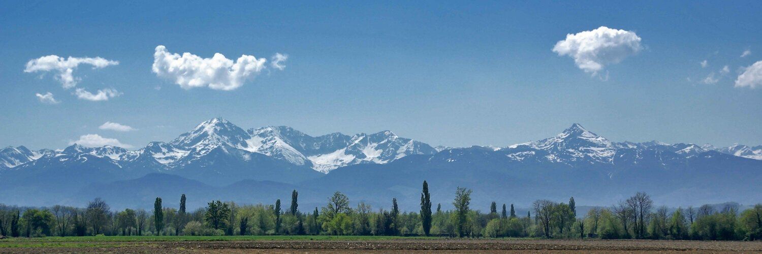 Swiss mountain mural with green hills and tree line, perfect for indoor and outdoor spaces.