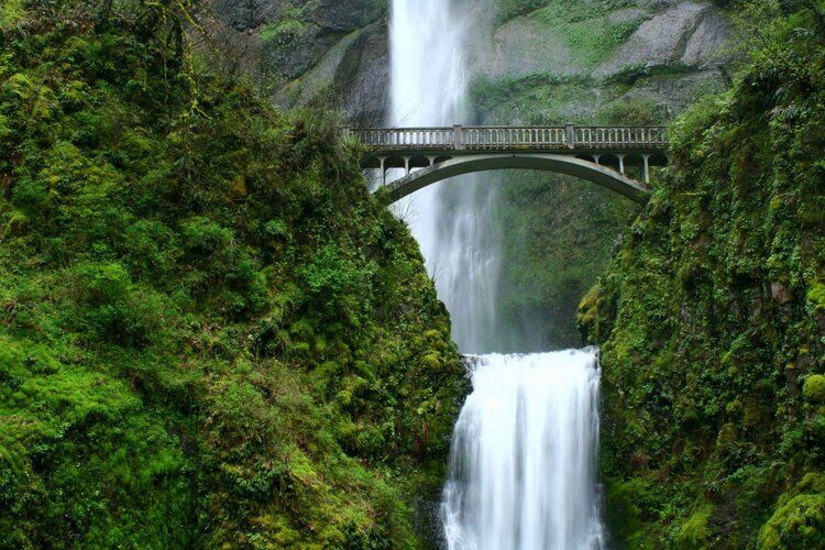 Wall mural of Multnomah Falls, ideal for adding grandeur to indoor and outdoor spaces.