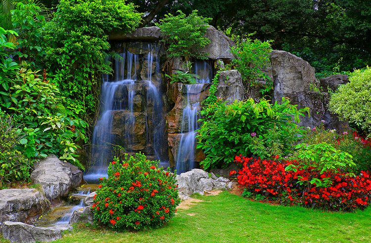 Tropical garden waterfall in spring, surrounded by lush greenery, creating a peaceful and serene atmosphere.