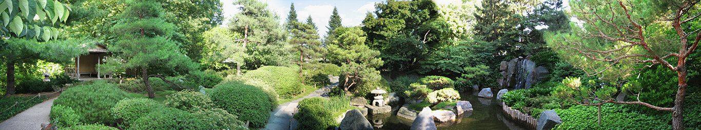 Panoramic Japanese garden with pond, lantern, waterfall, and lush plants, ideal for backyards.