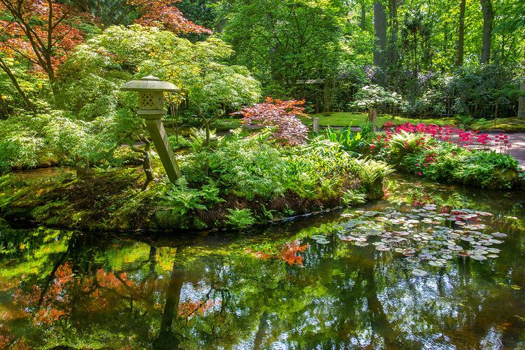 Colorful Japanese garden in The Hague after rain, with Zen sculptures and stones creating serenity.