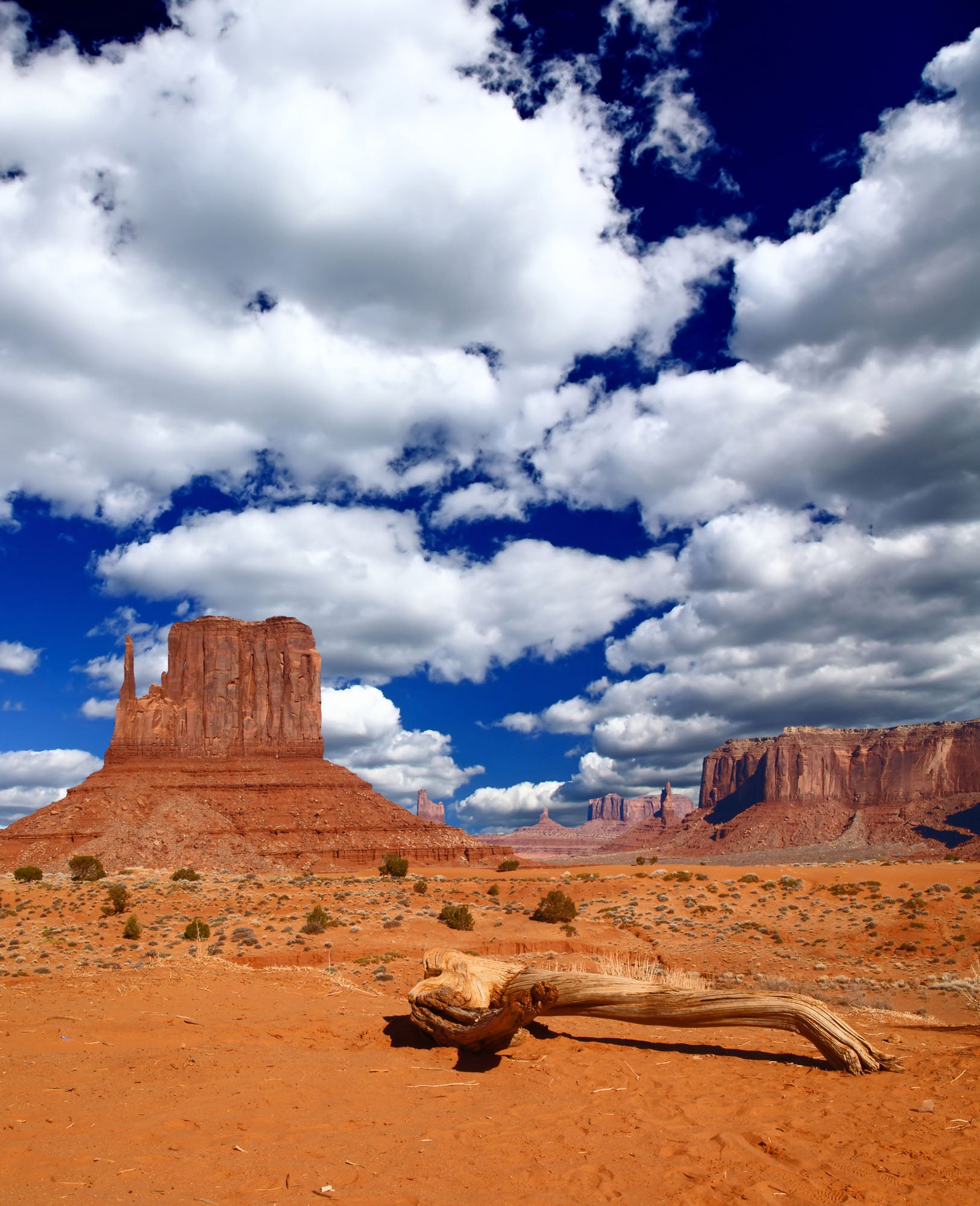Panoramic mural of Monument Valley's red rock formations, ideal for indoor and outdoor spaces.