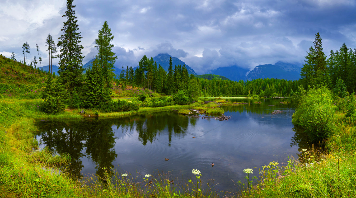 Panoramic mural of Strbske Pleso mountain lake, ideal for indoor and outdoor spaces.