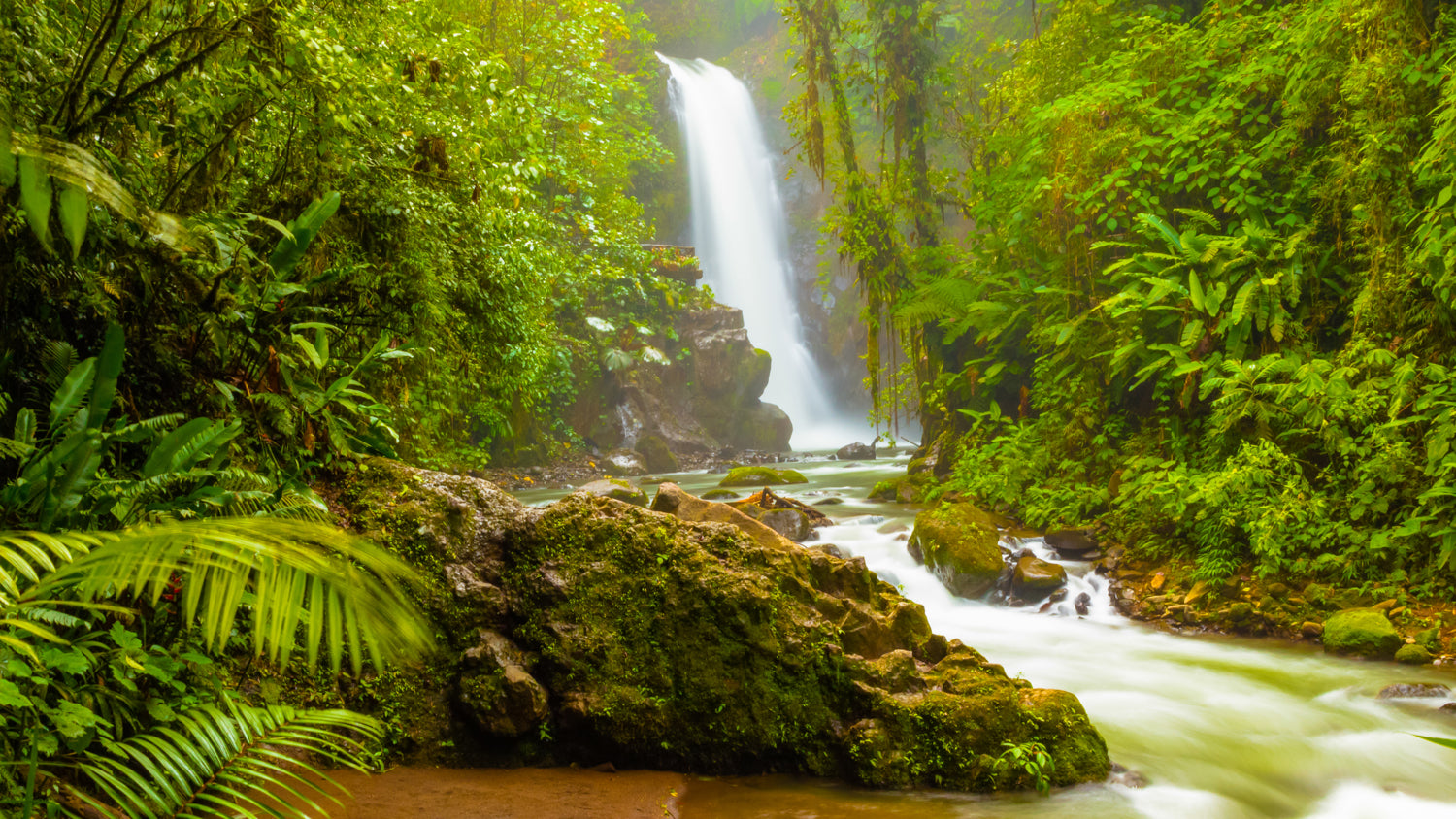 Jungle waterfall mural from Costa Rica, perfect for adding a serene touch to any space.