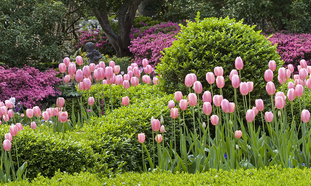 Shop garden and floral wallpaper designs for interior and outdoor spaces