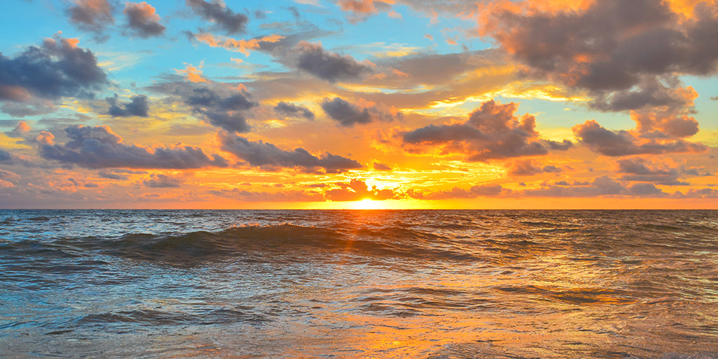 Sunset and ocean horizon wall mural with dramatic sky and waves