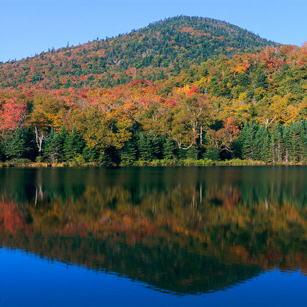 Shop mountain landscape wall murals for indoor and outdoor spaces