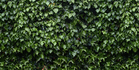Texture 2061 Dark